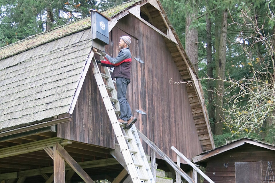 Bat box time for maintenance: Fall is the perfect time to check that your bat box is well-attached, water-tight and clean, ready to offer a safe roosting site for bats in spring. (Habitat Acquisition Trust photo)