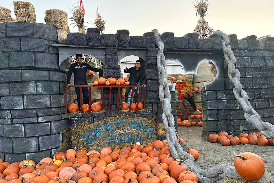 34135712_web1_231012-ACC-Halloween-happenings-DesertHills_1