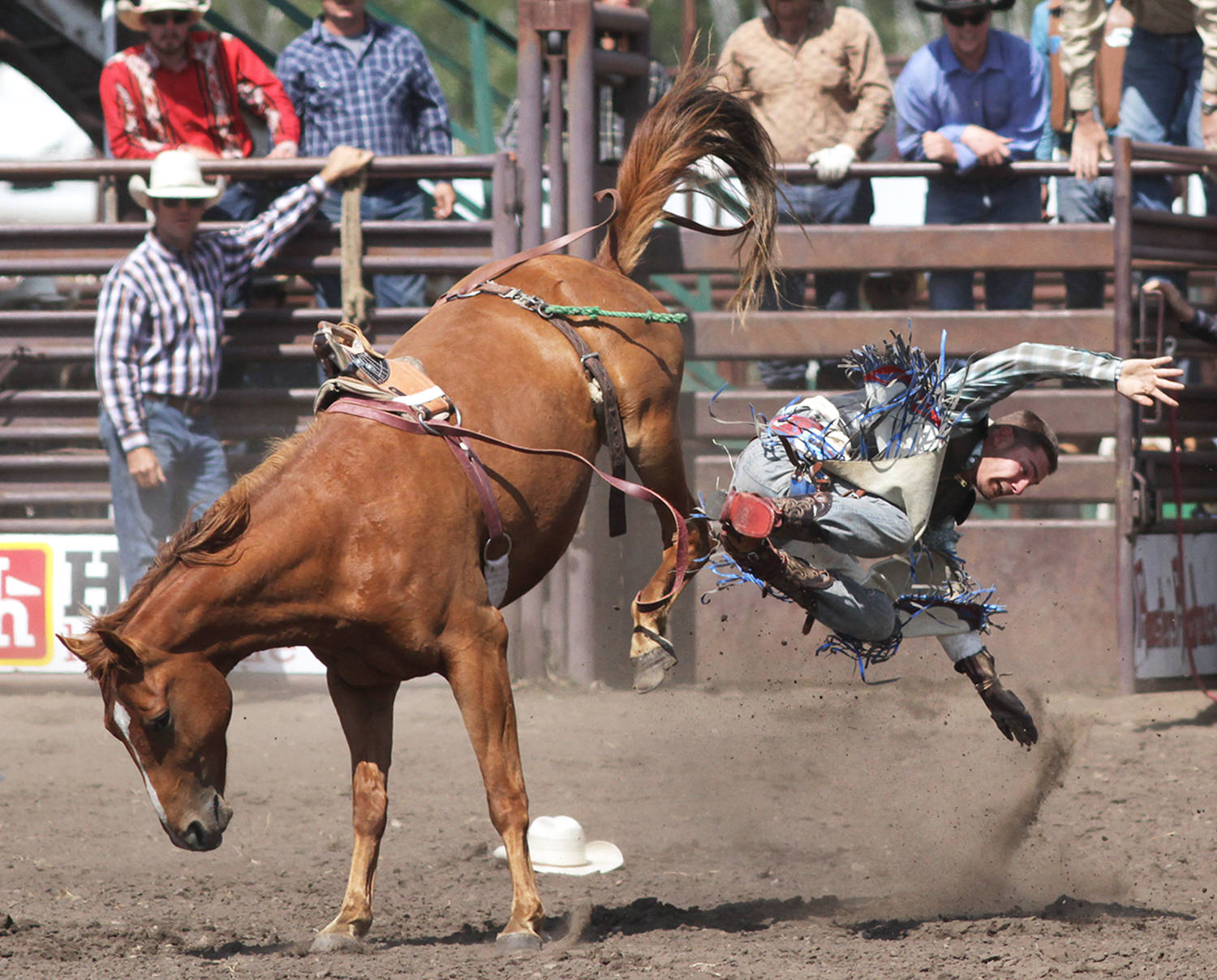 8056782_web1_170809-PON-tees-rodeo_1