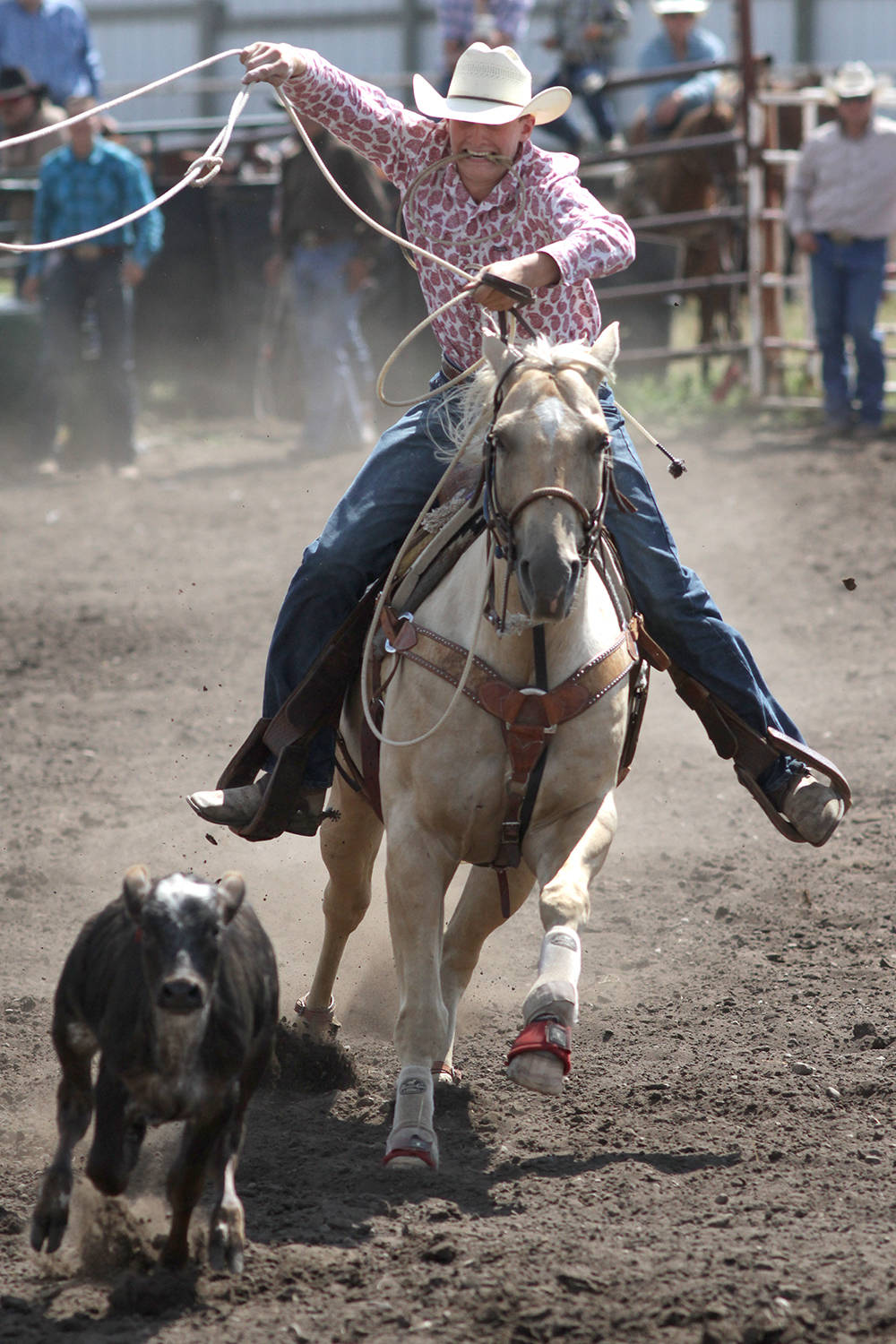 8056782_web1_170809-PON-tees-rodeo_3