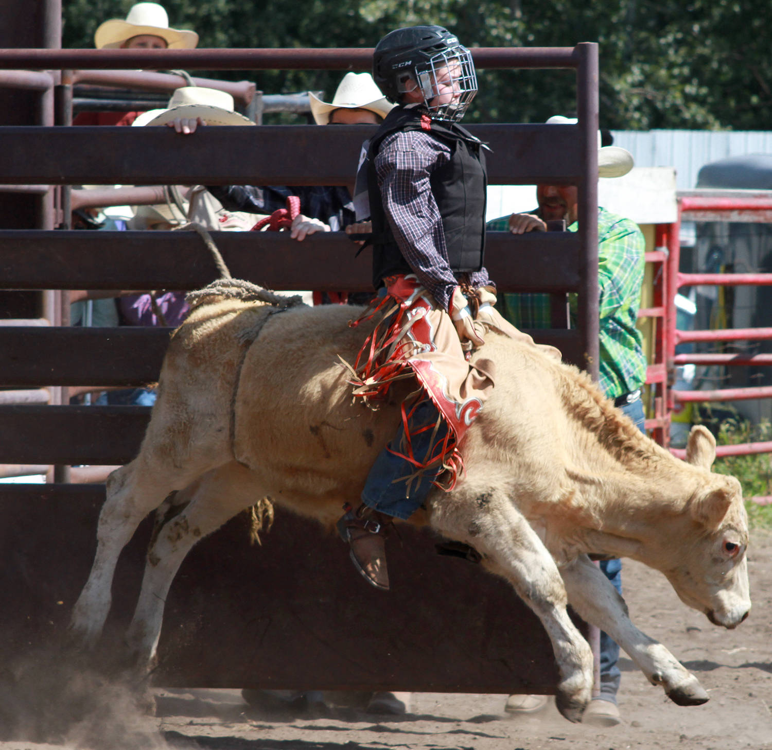 8056782_web1_170809-PON-tees-rodeo_6