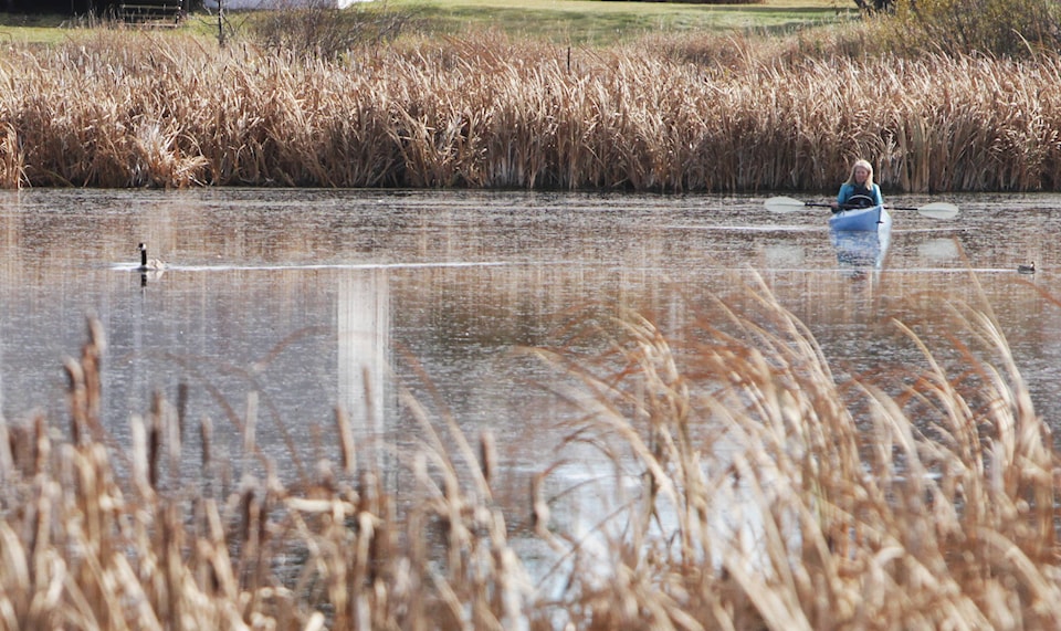 8938332_web1_171018-PON-goose-rescue_3