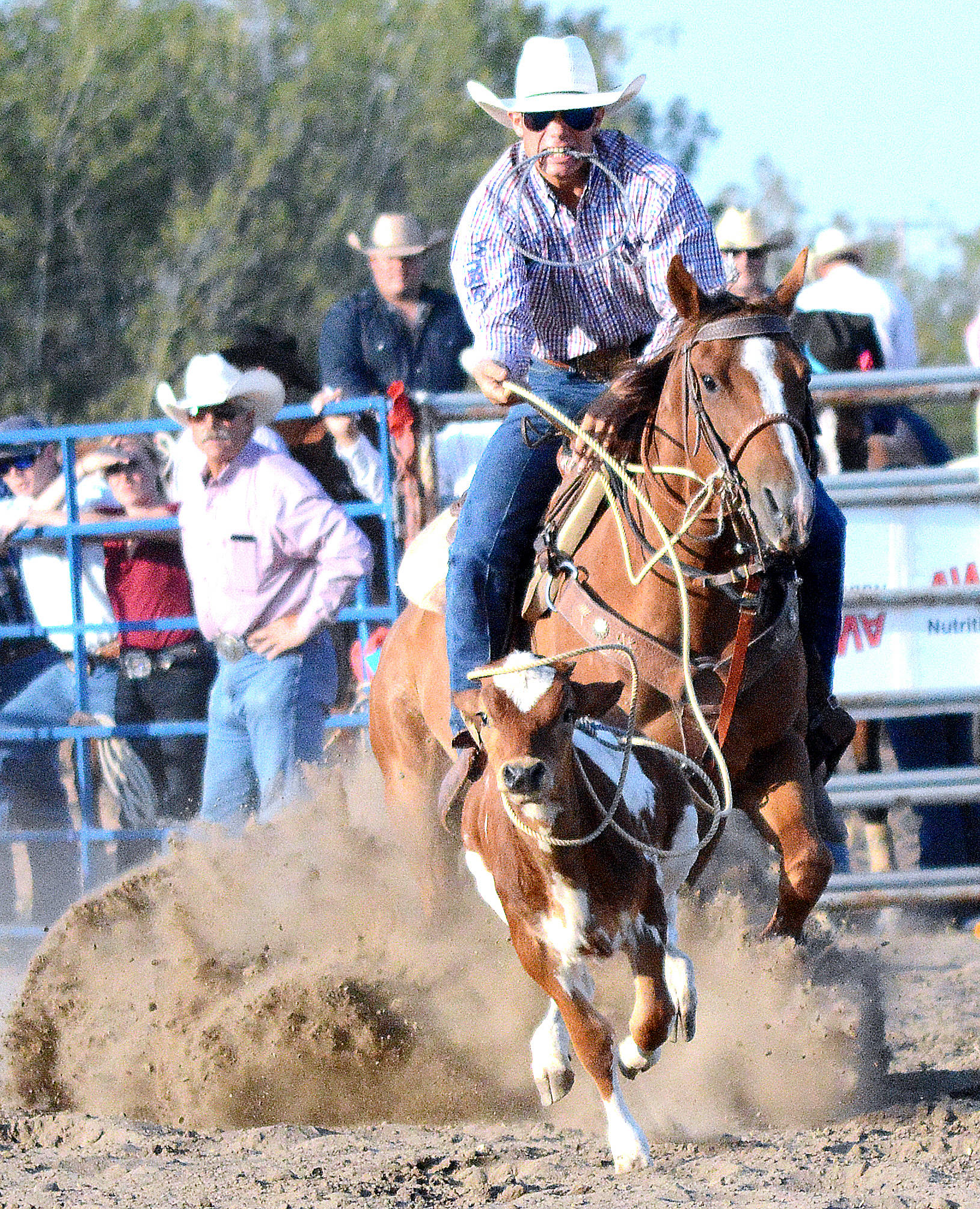 12920739_web1_lj-BV-Rodeo-TaylorO-14_4-7013