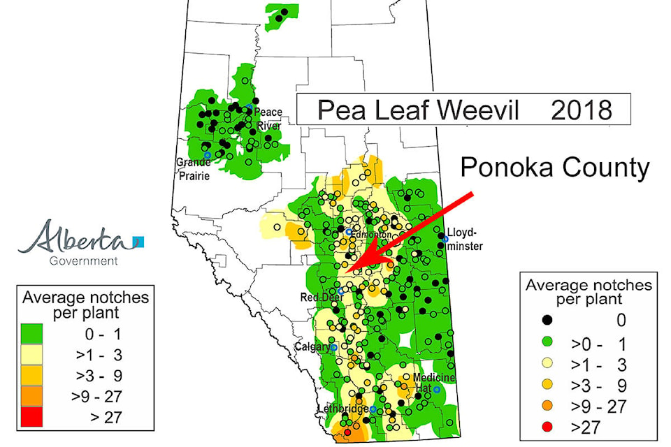 15997927_web1_190313-PON-pea-leaf-weevil-survey_1