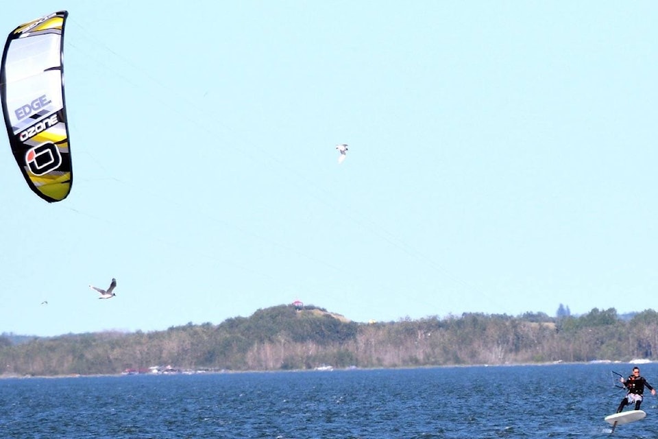 A paraglider Buffalo Lake near Rochon Sands in July. Buffalo Lake Provincial Park is about 40 minutes north east of Red Deer. (Lisa Joy/Black Press file photo)