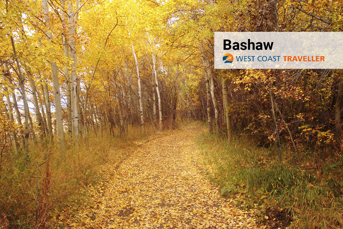 Discover Bashaw, Alberta Bashaw News