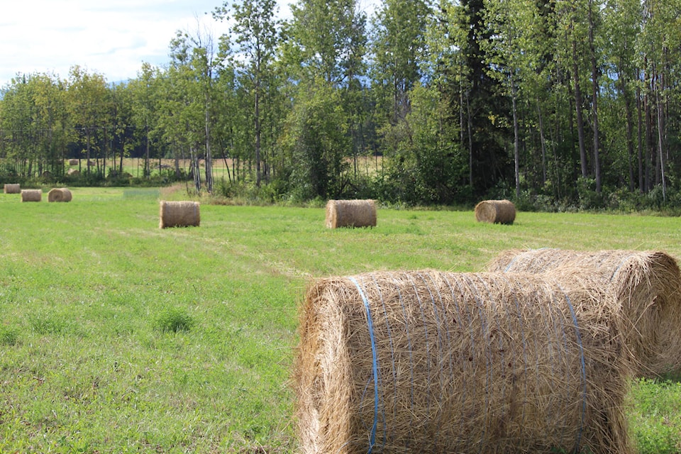 22227225_web1_bales-of-hay