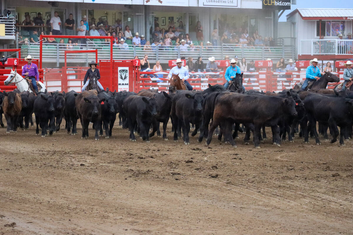 33187529_web1_23070-PON-Stampede-Day-5-Chuckwagons-KE_5