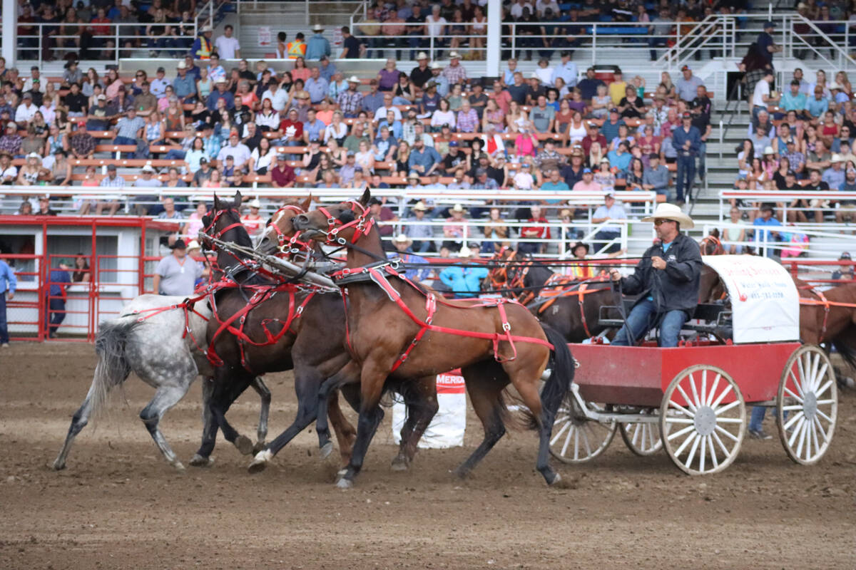 33187529_web1_23070-PON-Stampede-Day-5-Chuckwagons-KE_6