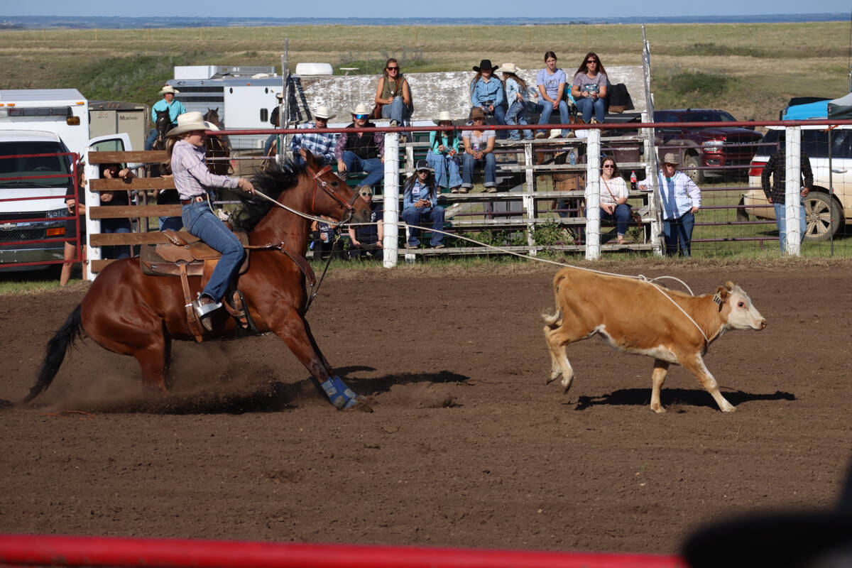 33241963_web1_230713-CAS-Rodeo_12