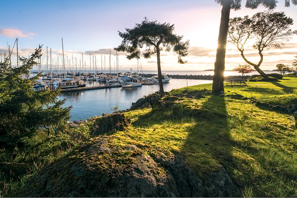 fw_marina_sunrise_low-res