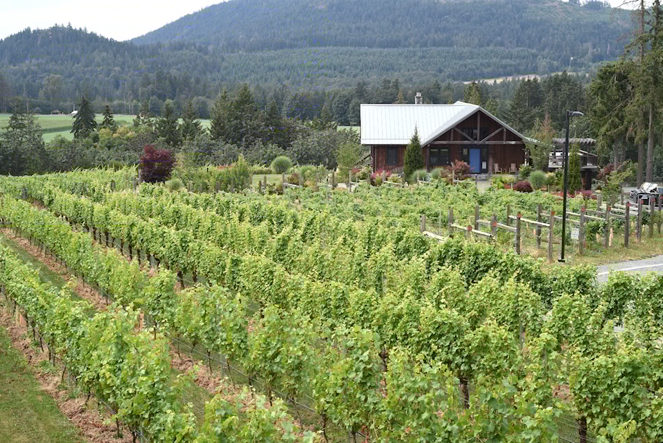 blue-grouse-estate-winery-7