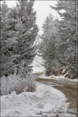 35030greenwoodHoarfrost-fogonMcCarrenCreekRoad