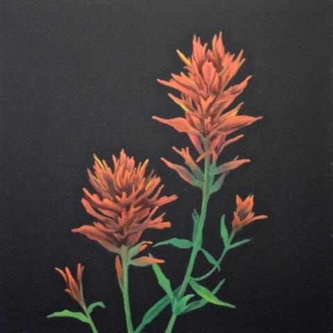 30061263_web1_220818-CAN-gallery-exhibits_1