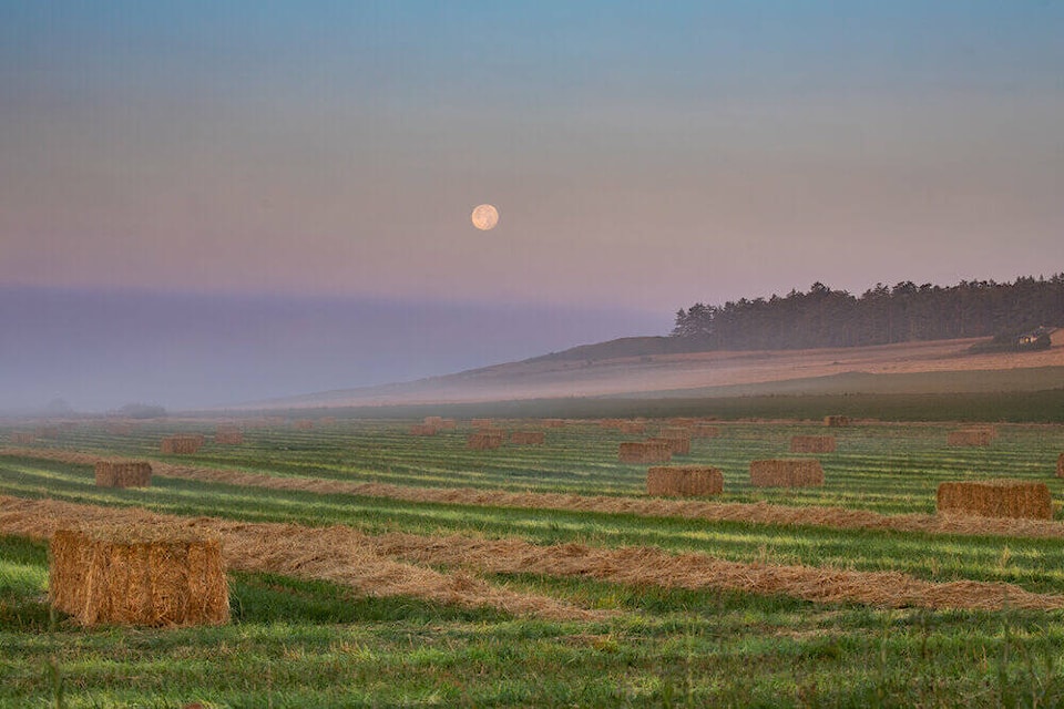 33166800_web1_farm