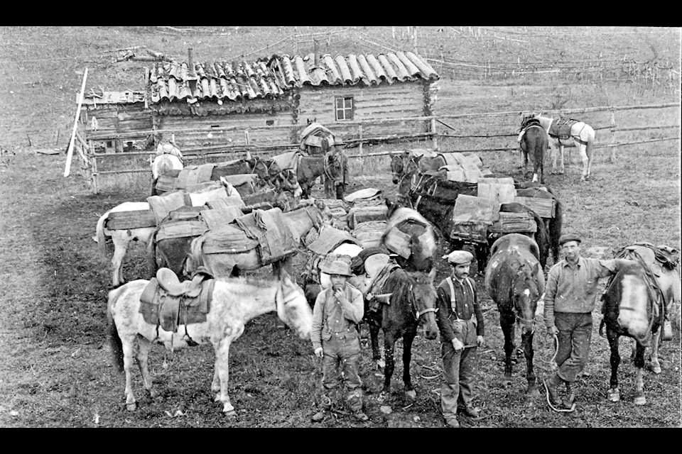 Dick Carroll's first pack train in front of the  Lake telegraph around 1911.
