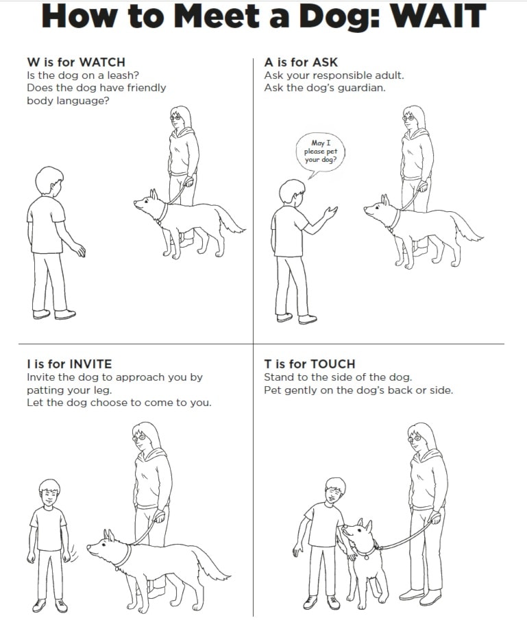 250423-ldn-opinion-dog-column