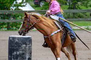 Gallery: Horsing around in  Lake
