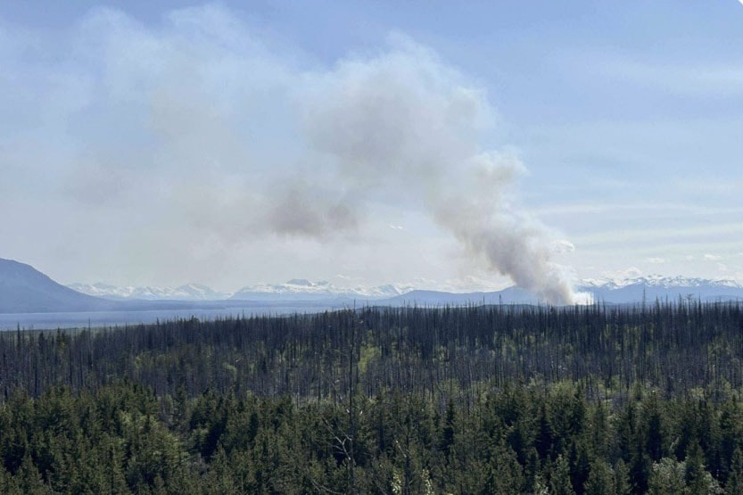 A 1001-hectare wildfire south of  Lake, near Little Andrews Bay and the community of Wistaria, was classified as under control by the BC Wildfire Service as of June 16, 2025.