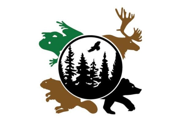 tsilkazkoh-logo