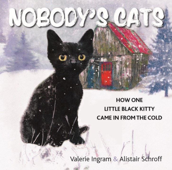 Local book ‘Nobody’s Cat’ helps cats
