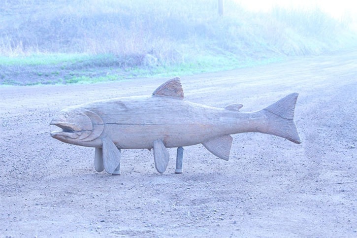 Wooden fish finds new home at local business in Burns Lake