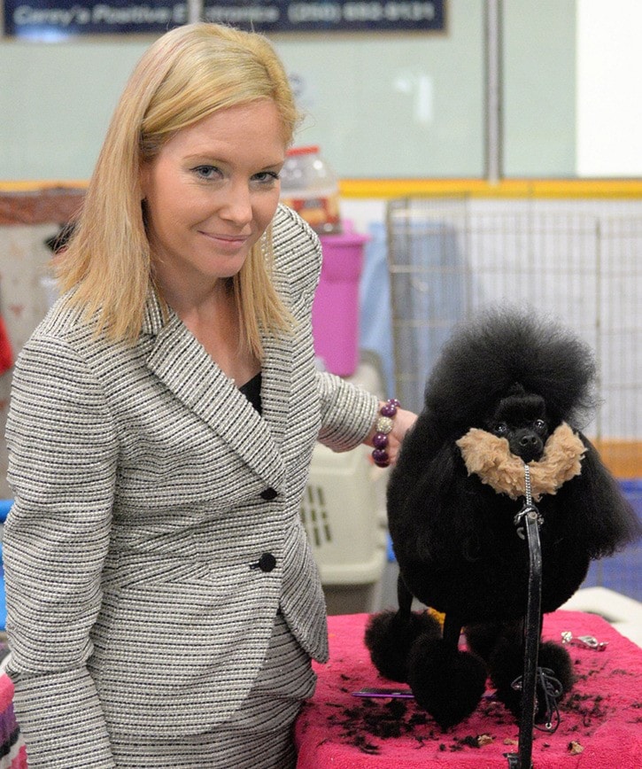 Lots of tail wagging at dog show