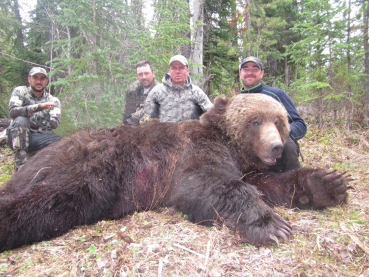 Trophy Grizzly