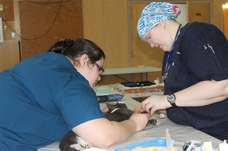 Spay/neuter clinic a success