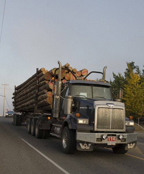 Loggers in B.C. short manpower to meet demand