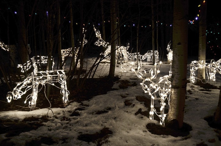 Burns Lake festive light up