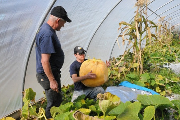 Connecting producers and consumers in the Lakes District