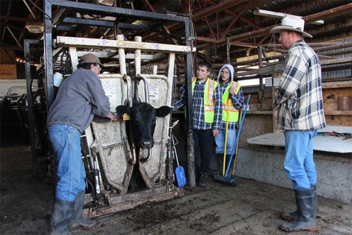 Burns Lake students learn from agriculture experts