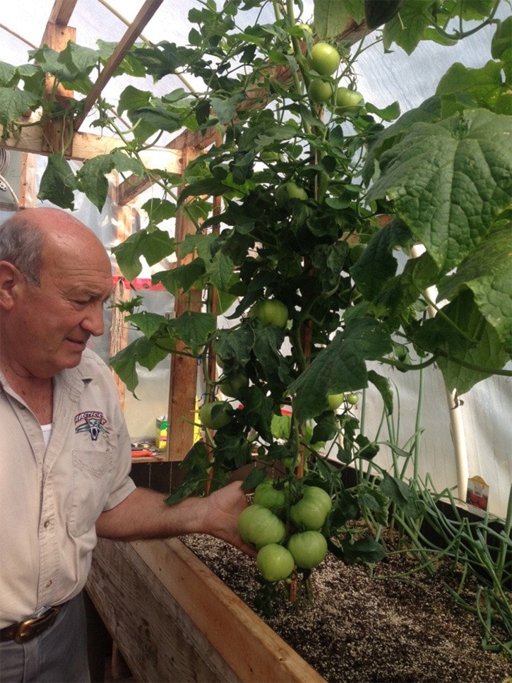 Reinvigorating community garden