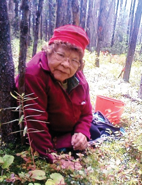 52865burnslakeBerry_picking