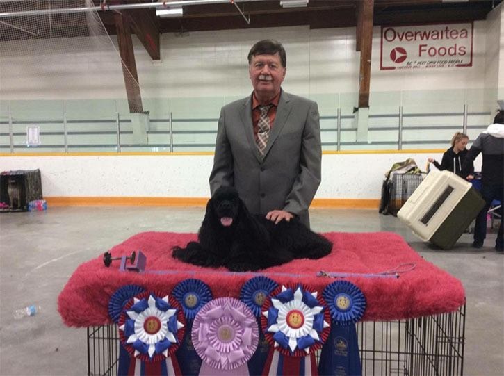 Annual dog show brings 130 dogs