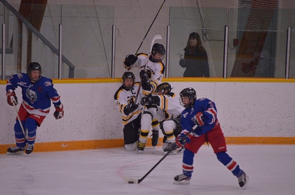 Busy bantam Bruins weekend