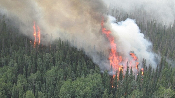 Hot, dry weather spells increase in forest fires province wide