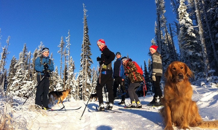 The snow is coming...get ready to ski