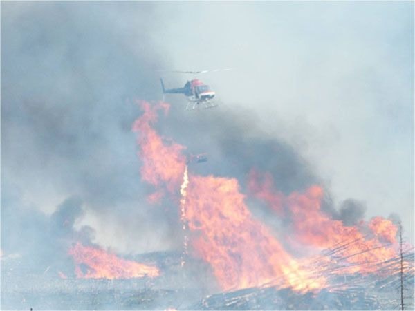 Ongoing Binta Lake forest fire rehab