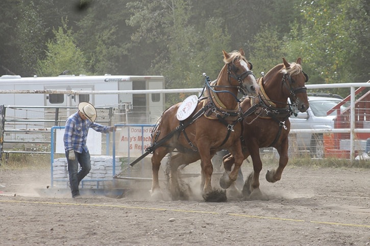 Lakes District Fall Fair