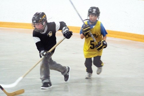 Ball hockey season underway