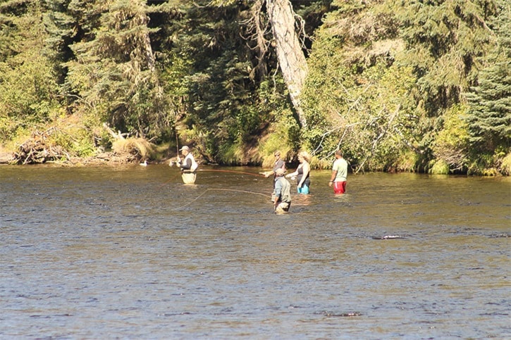 Trying to catch the biggest salmon