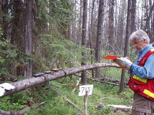 Lakes District forest inventory well underway