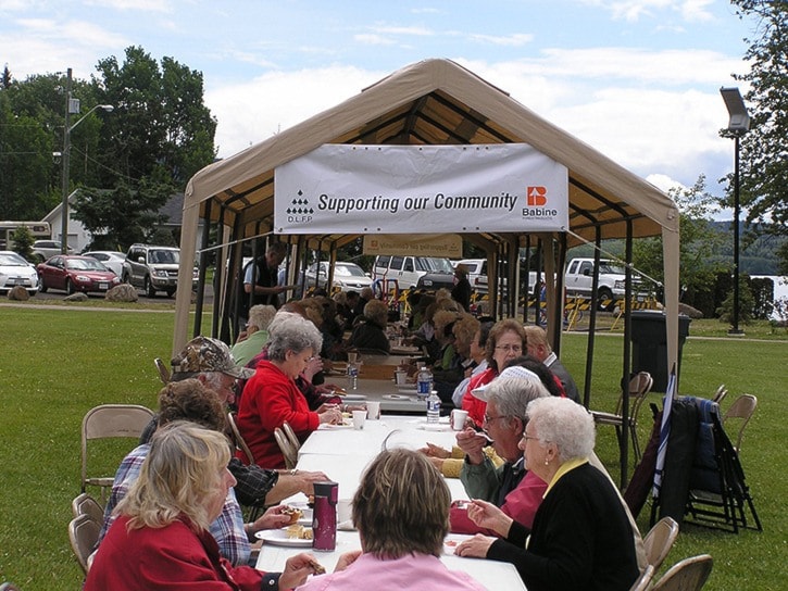 Senior society holds annual picnic