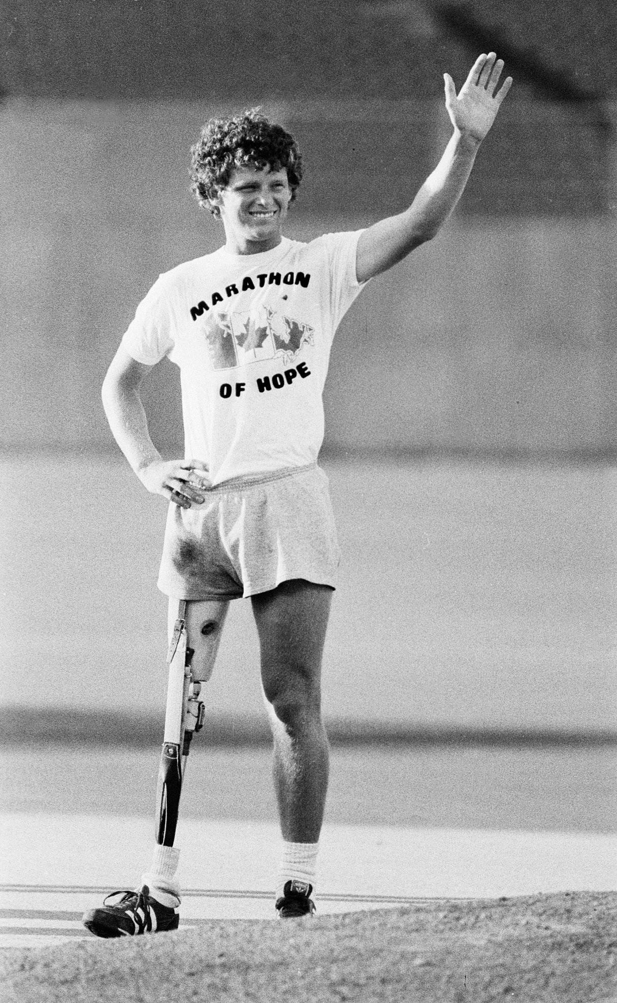 8443884_web1_TerryFox