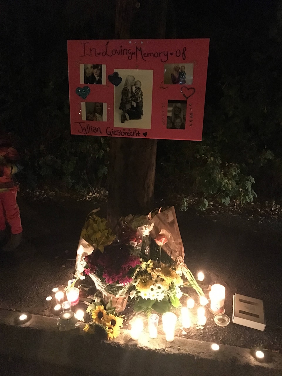 8794695_web1_Jyllian2