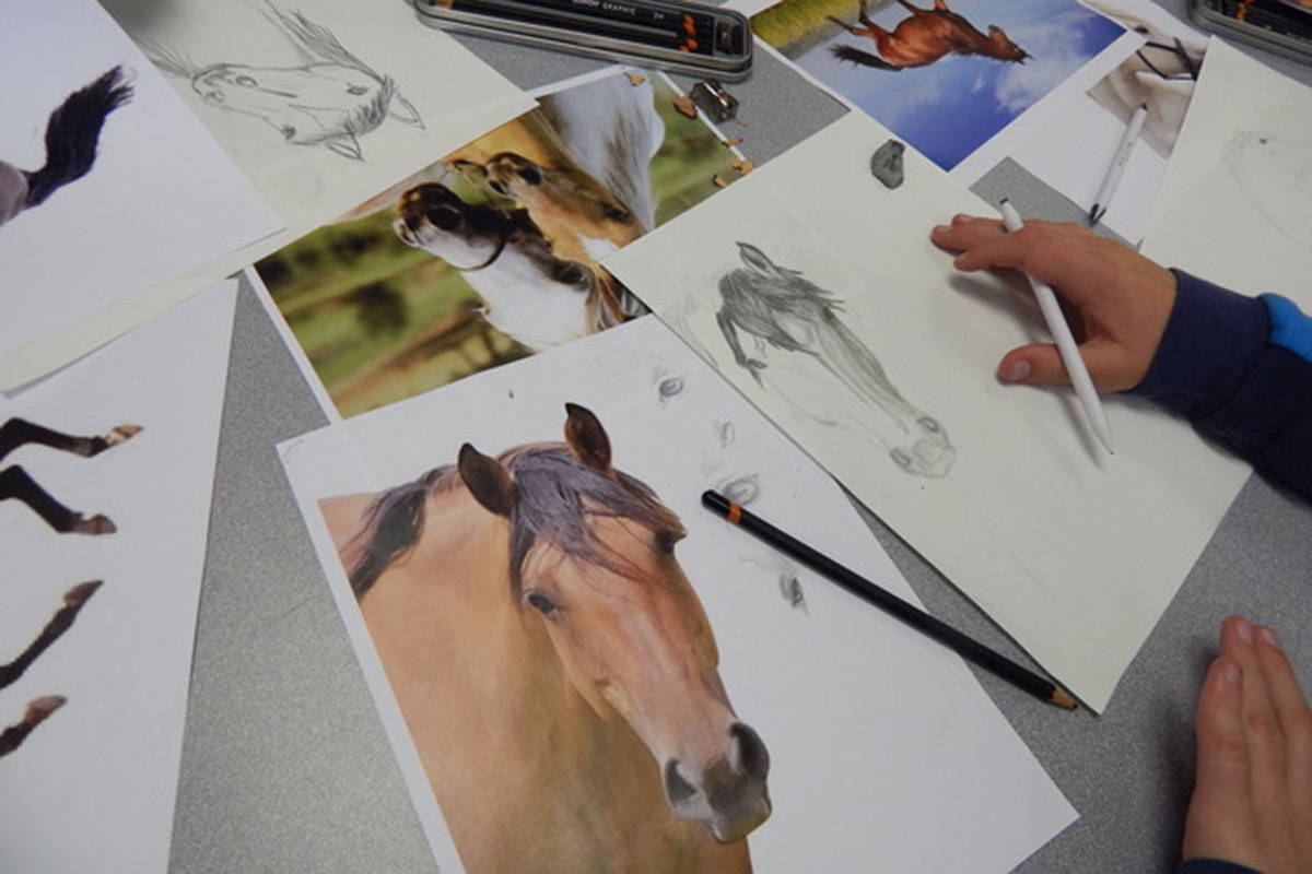 12009156_web1_180530-LND-M-HORSES11