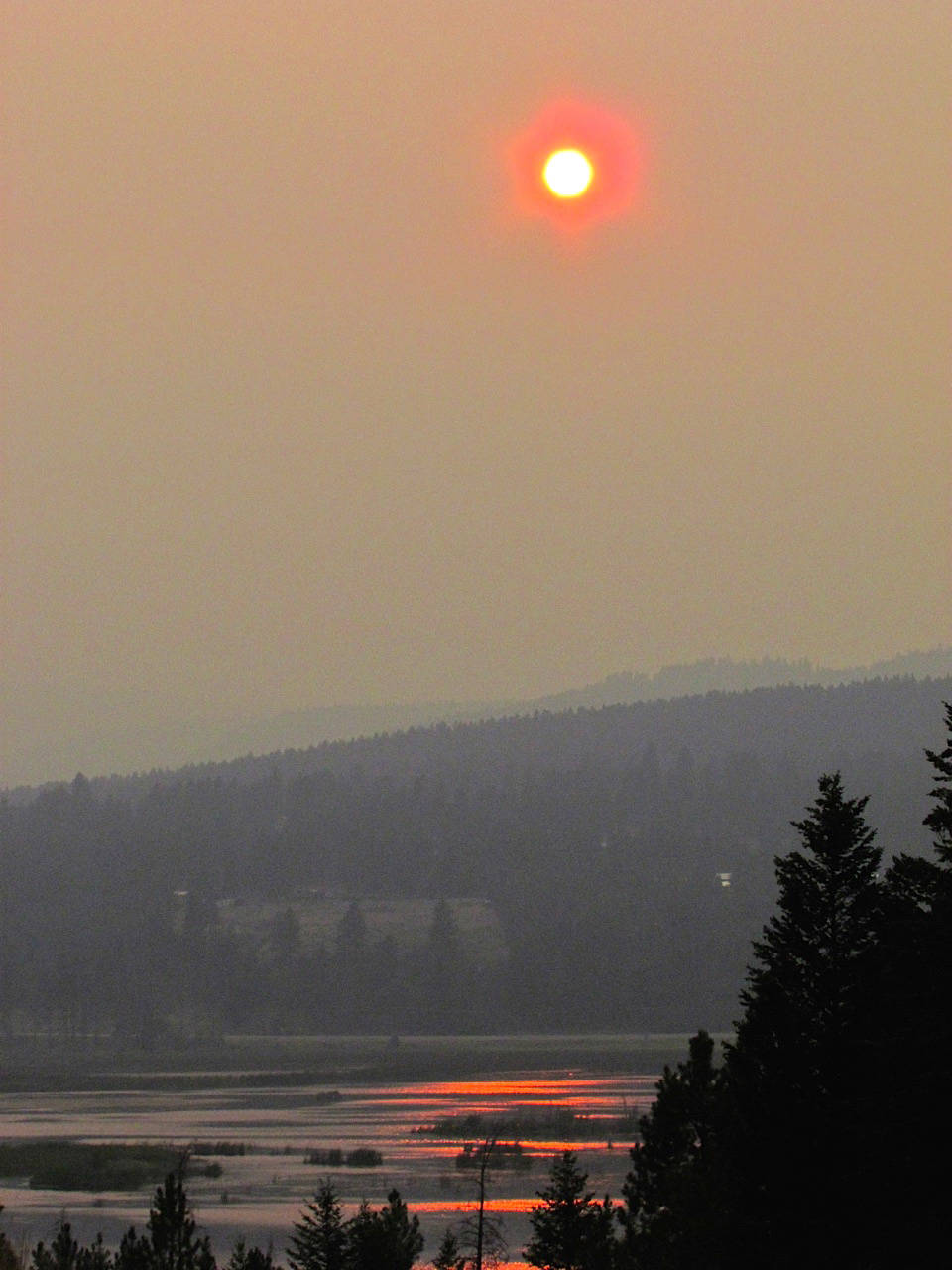 13181551_web1_smoky_sun
