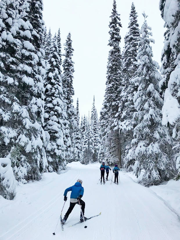 14868510_web1_Bulkley-Valley-Nordic-snow-camp2